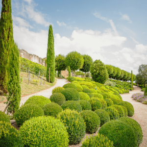 Jardim Castelo de Amboise